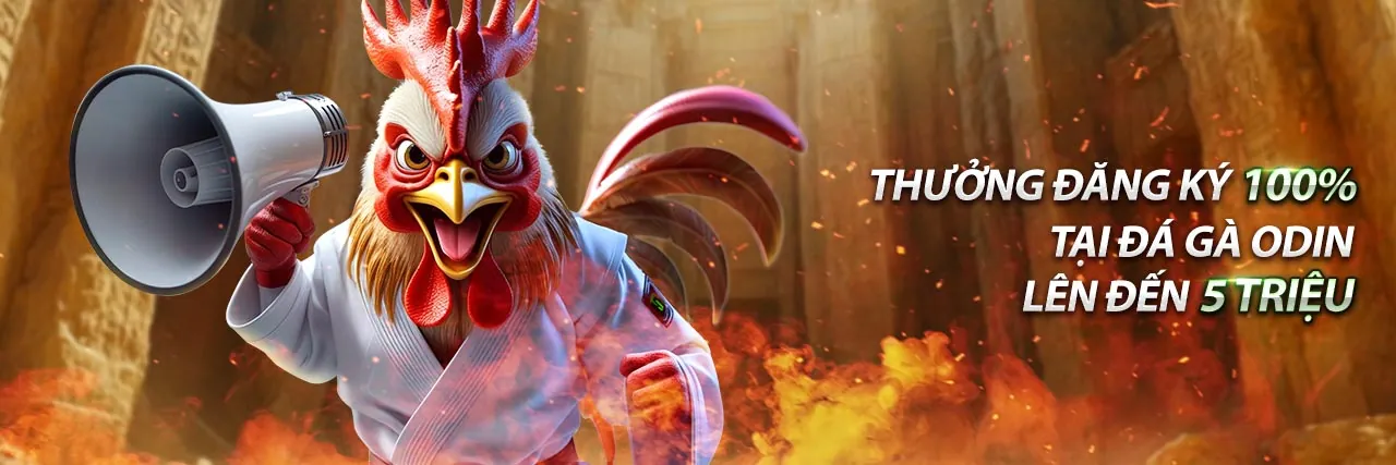 Ứng dụng vip66 tải trên điện thoại di động